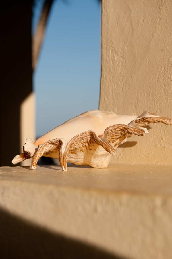 Sawa Sawa Beach House Msambweni Exterior foto